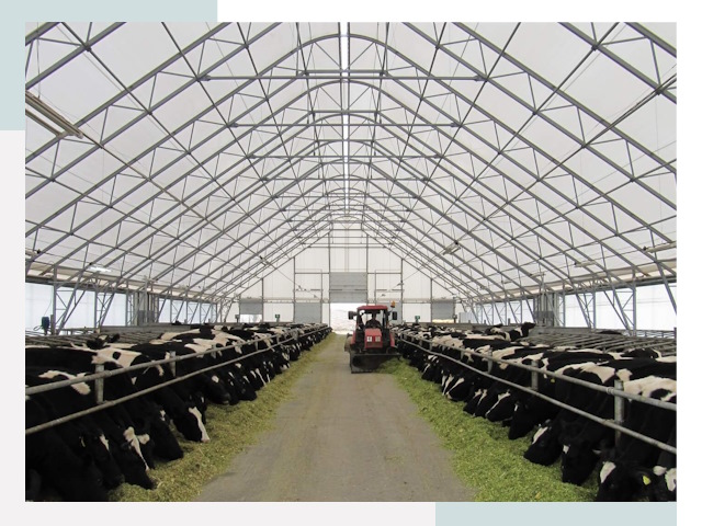 Тентовые коровники в Междуреченске от 606 руб. - Надежно и доступно